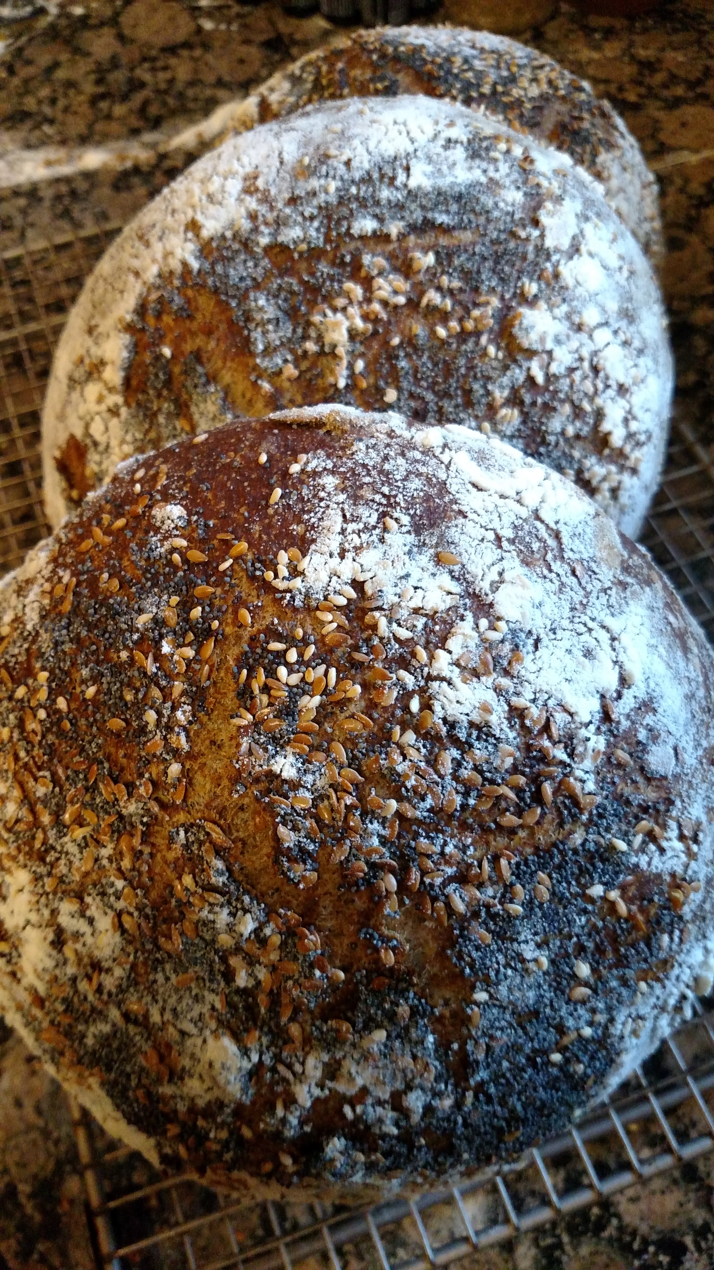 3 seeded boules